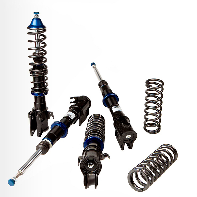Cobra EVO-III Schroefset  Volkswagen Polo 6R/6C 3/5-deurs 2.0R WRC 2009-2017 35-70/30-50mm